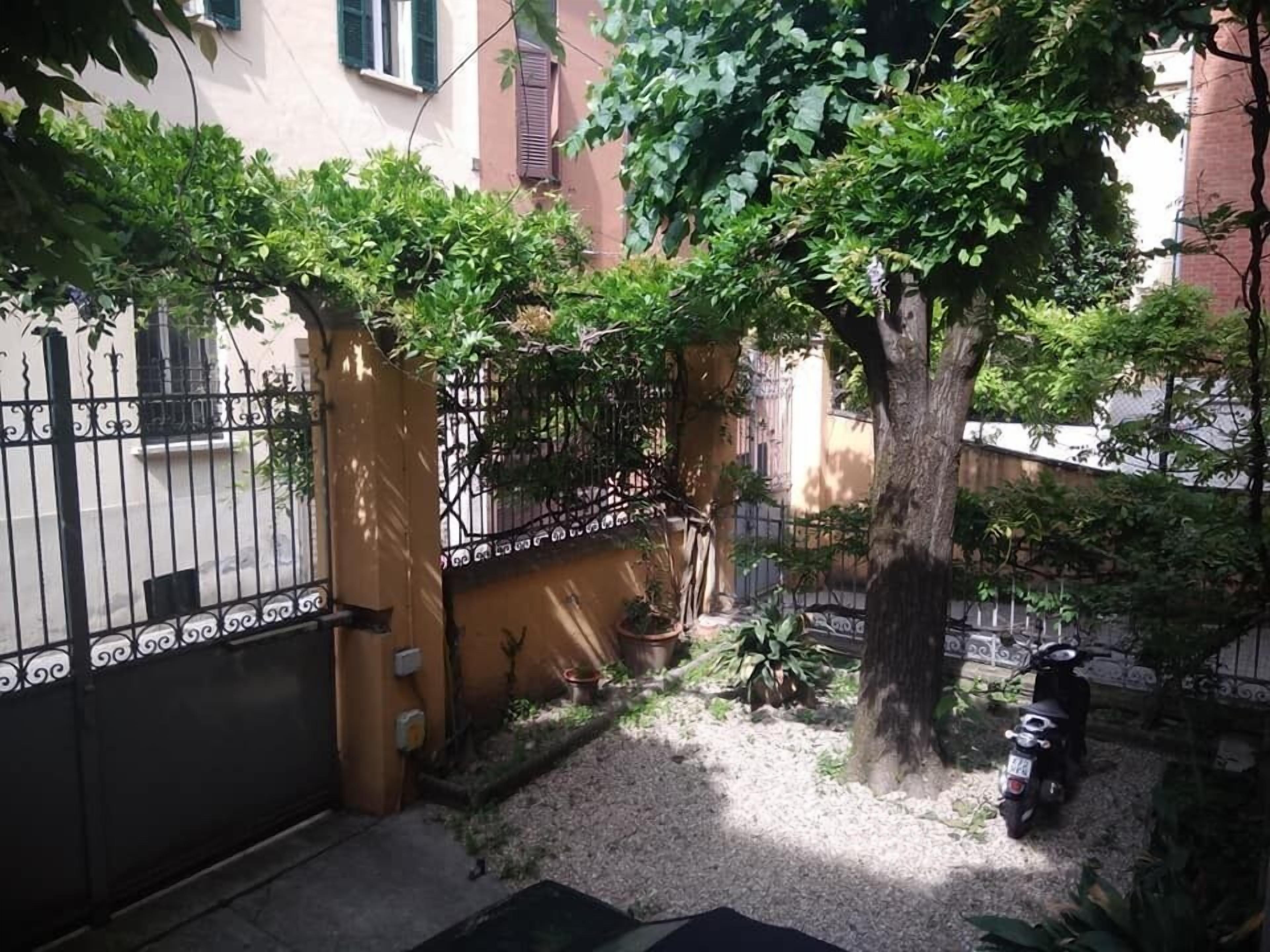 Tilia — Photos 1
